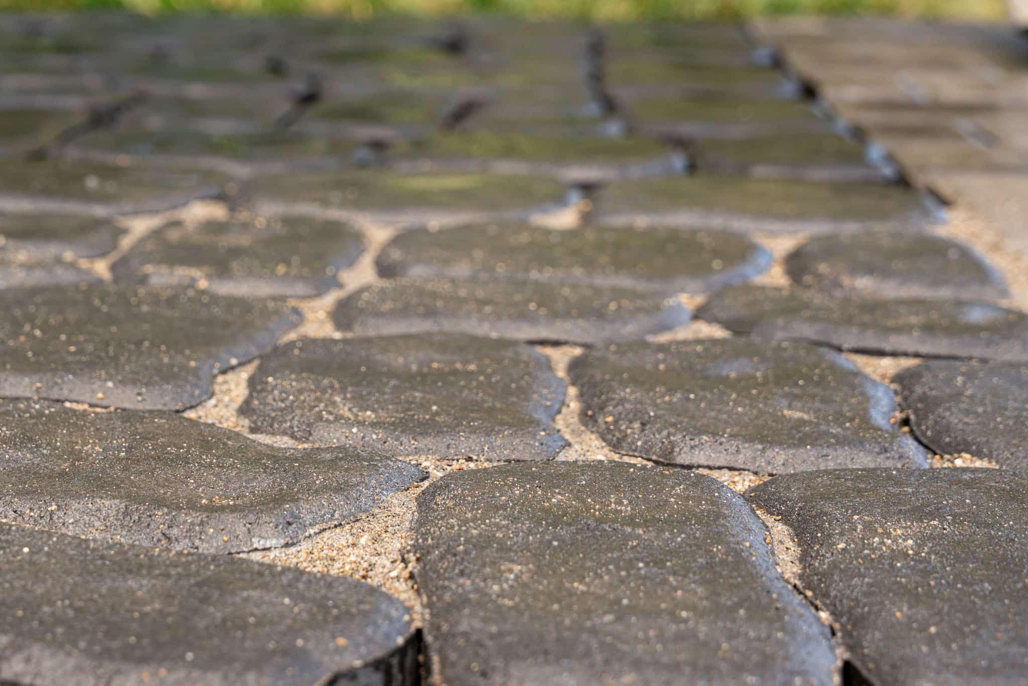The Foundation Behind Every Great Patio</p>
<p>Professional polymeric sand installation for pavers, brick, and natural stone that locks joints tight, prevents weed growth, and resists washout. Properly installed paver sand stabilizes your surface, extends its life, and keeps your patio or walkway looking sharp for years to come.